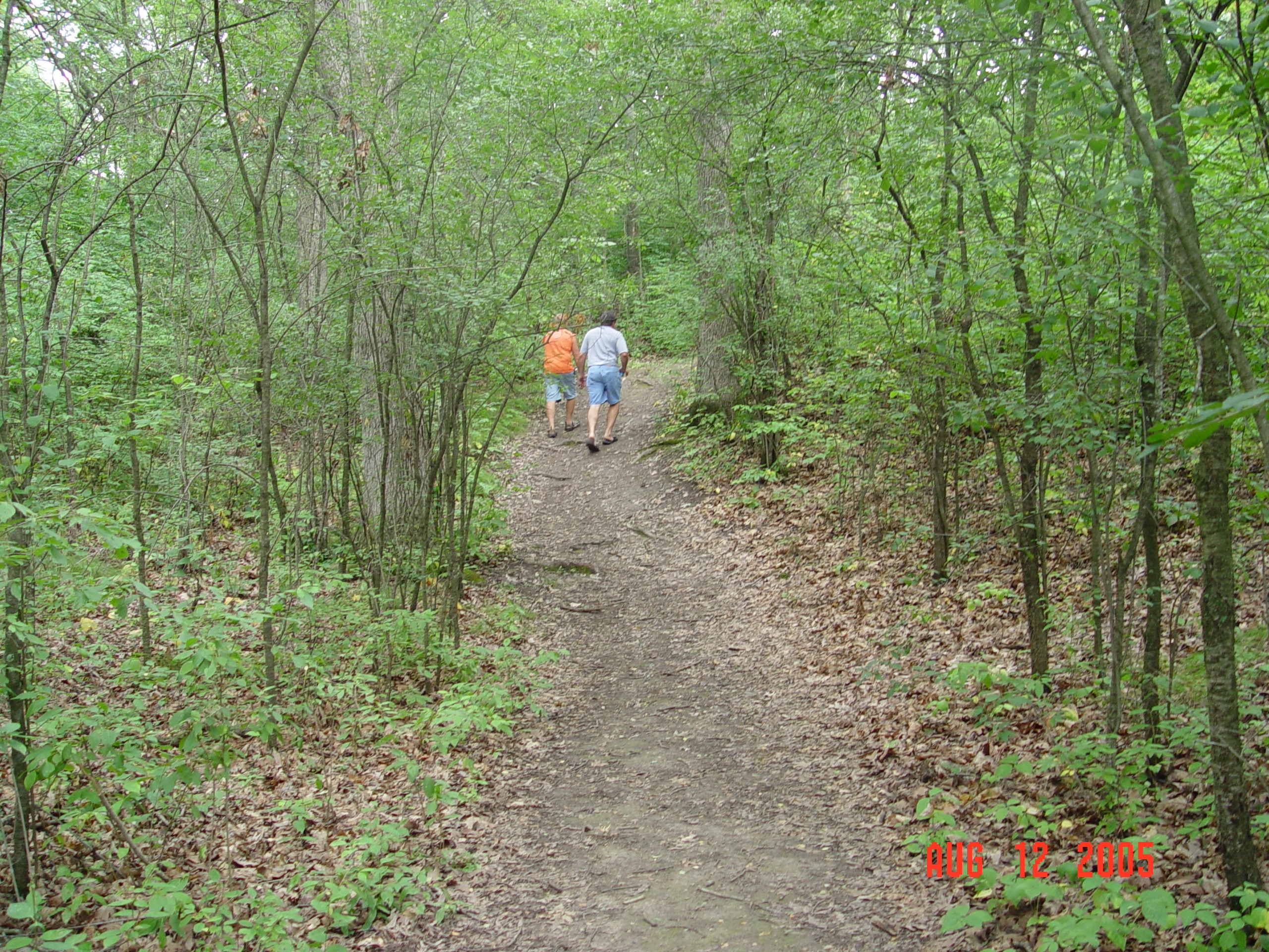 scenic-ridge-campground-017 hiking
